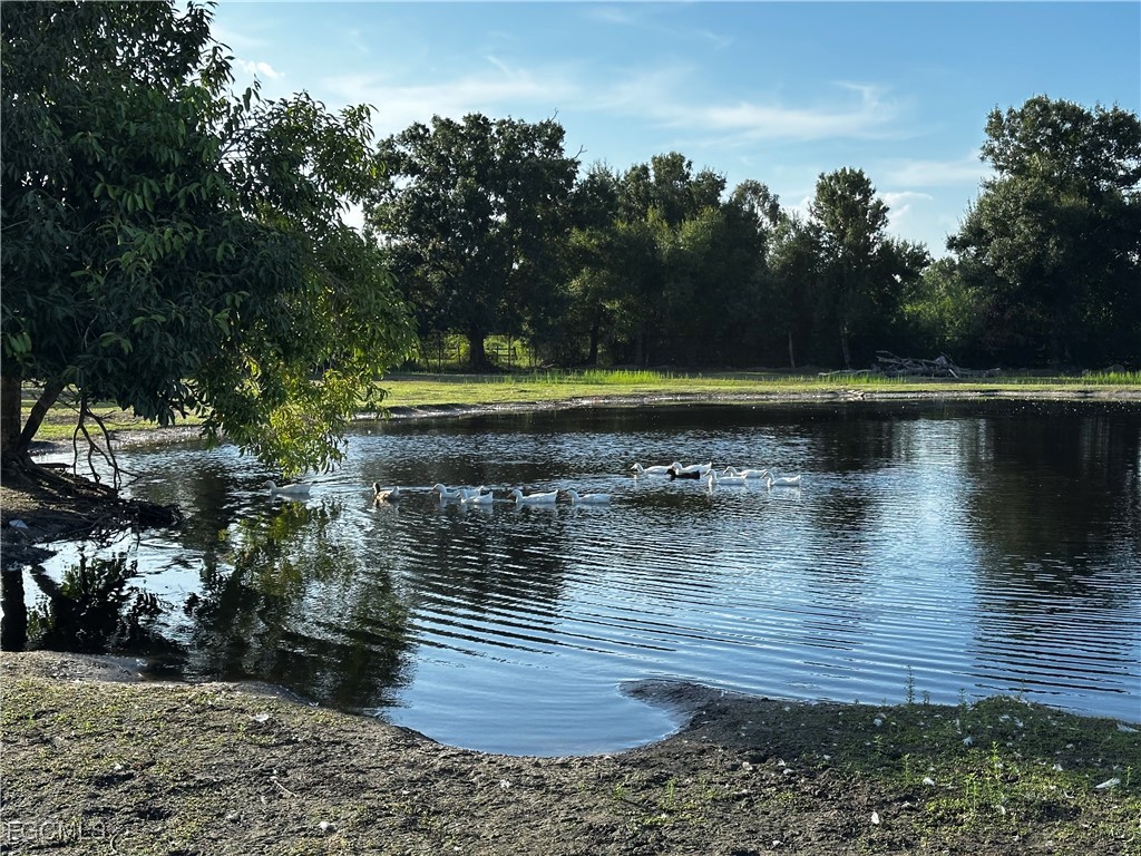 19781 Woodbridge Lane North Fort Myers FL 33917 2025000223 image50