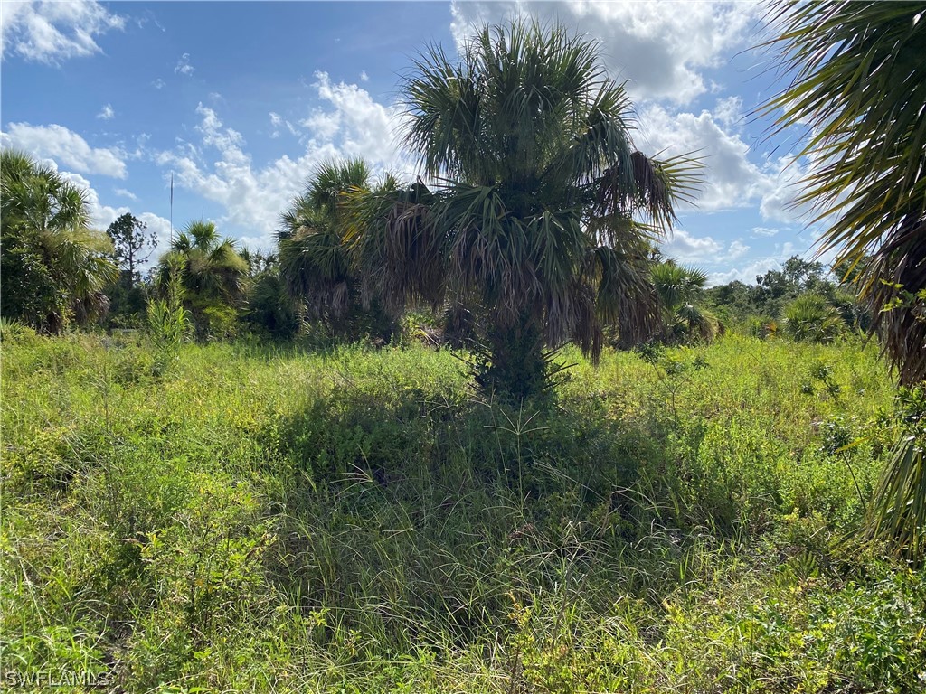 1985 Cedarwood Street Port Charlotte FL 33948 223045507 image2