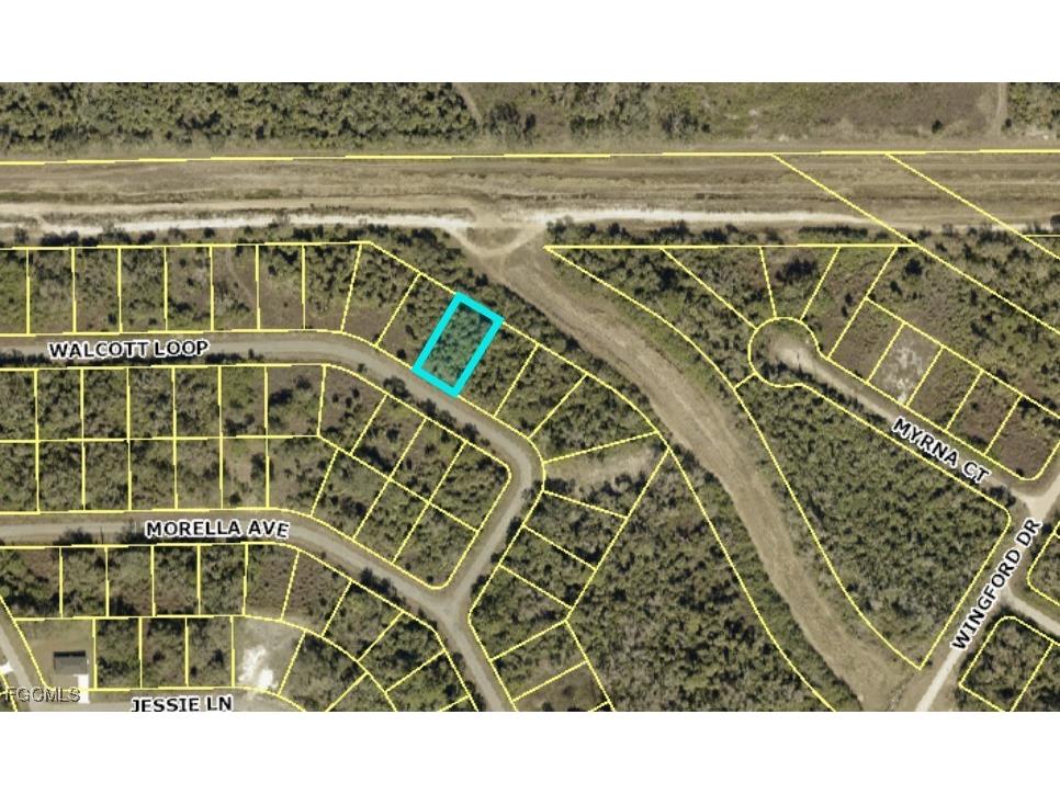 1985 Walcott Loop Lehigh Acres FL 33972 2025010628 image1