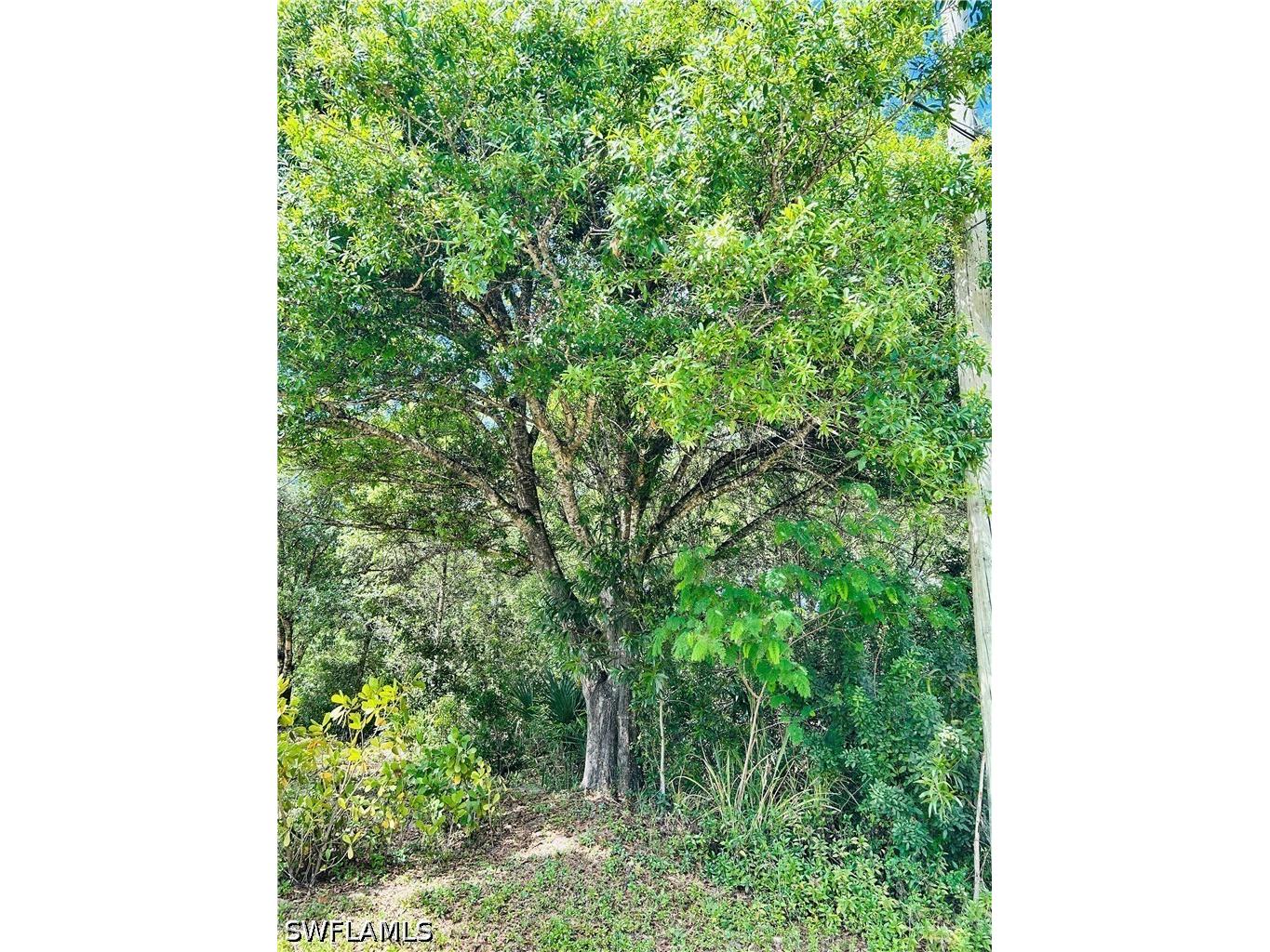 19850 Burgundy Farms Road Estero FL 33928 226012722 image10