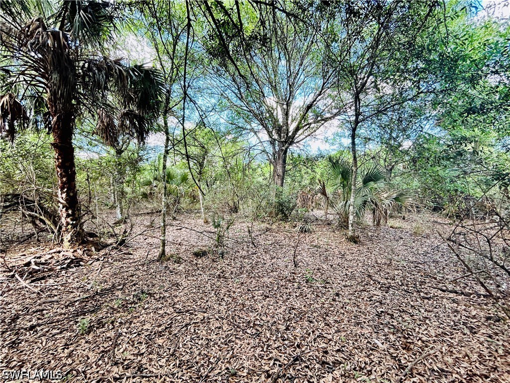 19850 Burgundy Farms Road Estero FL 33928 226012722 image6