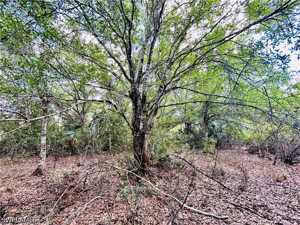 19850 Burgundy Farms Road Estero FL 33928 226012722 image7