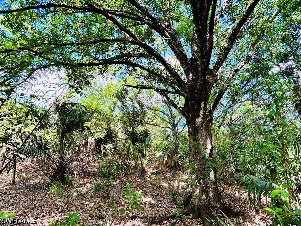 19850 Burgundy Farms Road Estero FL 33928 226012722 image8