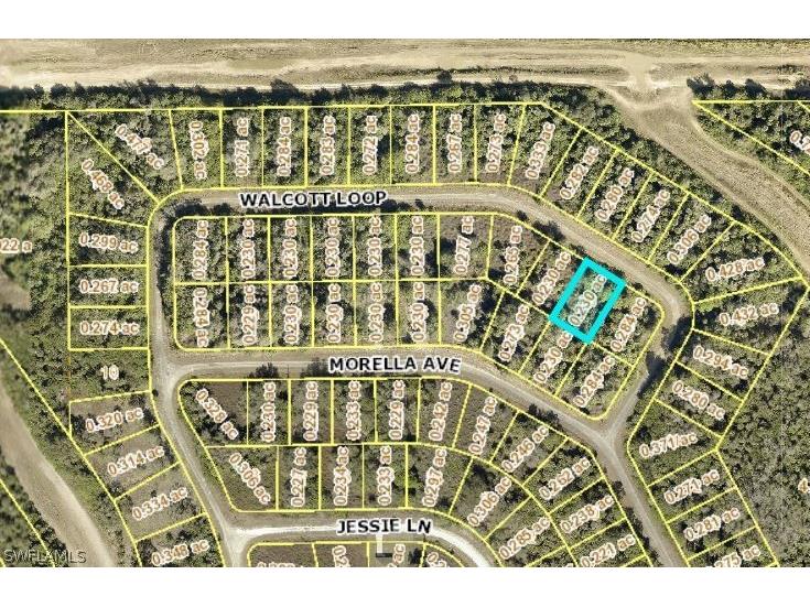 1986 Walcott Loop Lehigh Acres FL 33972 222063658 image1