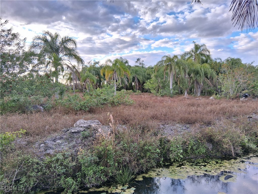 19860 L1 Dike Road Clewiston FL 33440 2026005777 image9