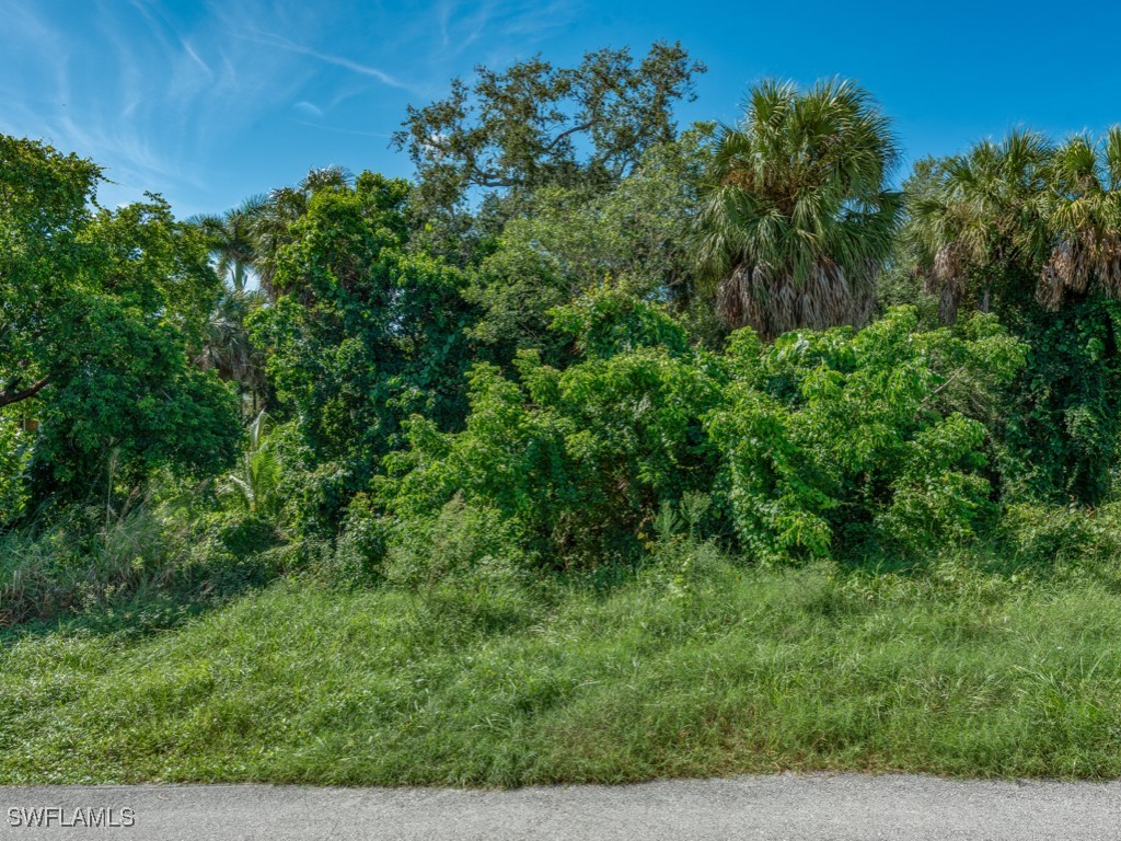 1989 Sheffield Avenue Marco Island FL 34145 225071329 image17