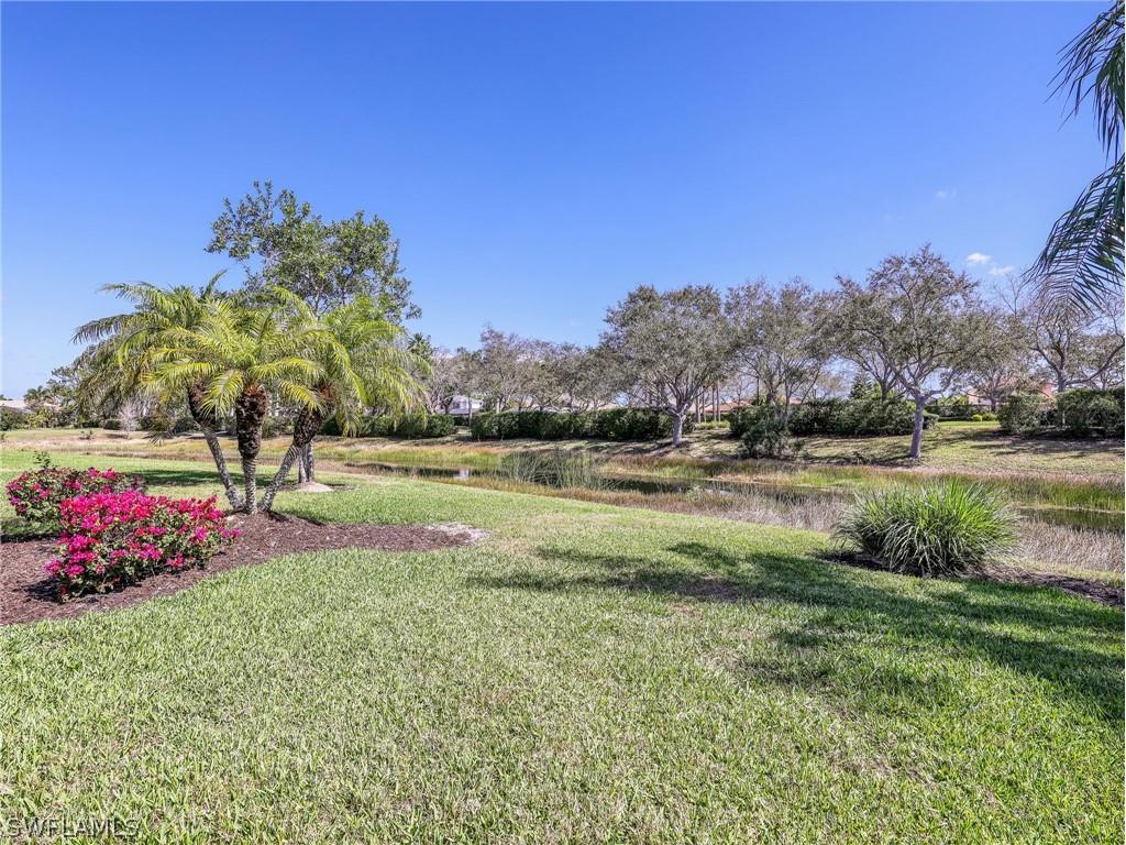 19929 Casa Verde Way Estero FL 33967 226010881 image23