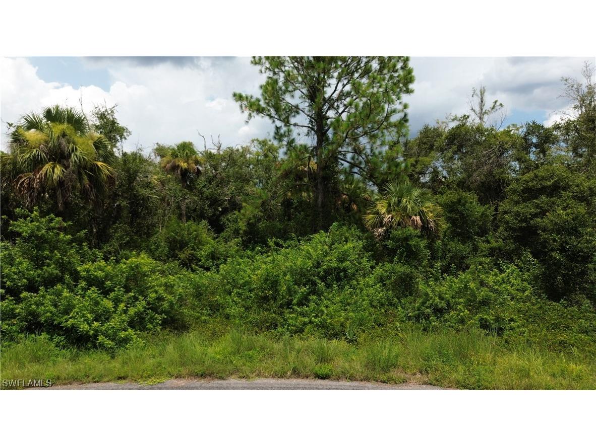 1993 Walcott Loop Lehigh Acres FL 33972 223056059 image1