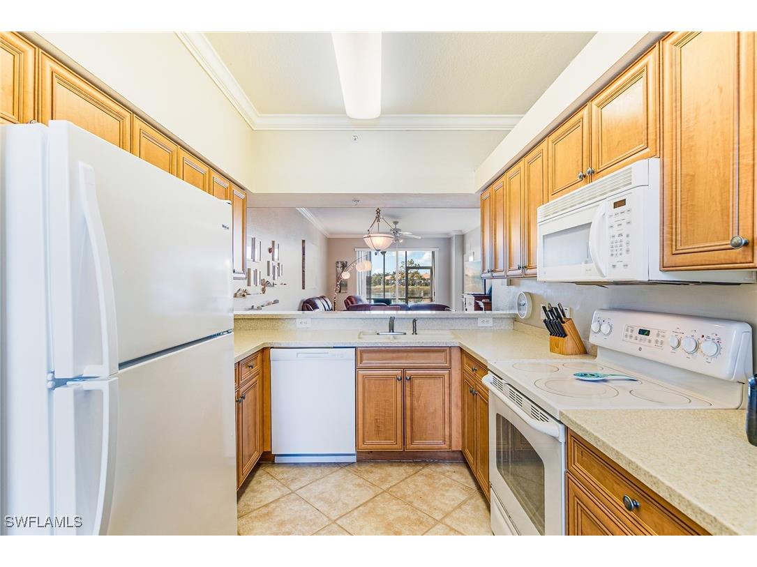 19980 Barletta Lane #916 Estero FL 33928 226004885 image10