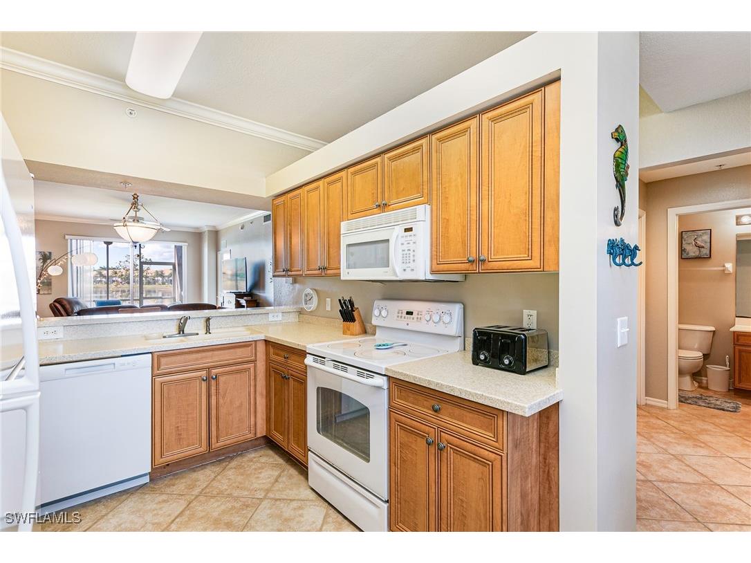 19980 Barletta Lane #916 Estero FL 33928 226004885 image12