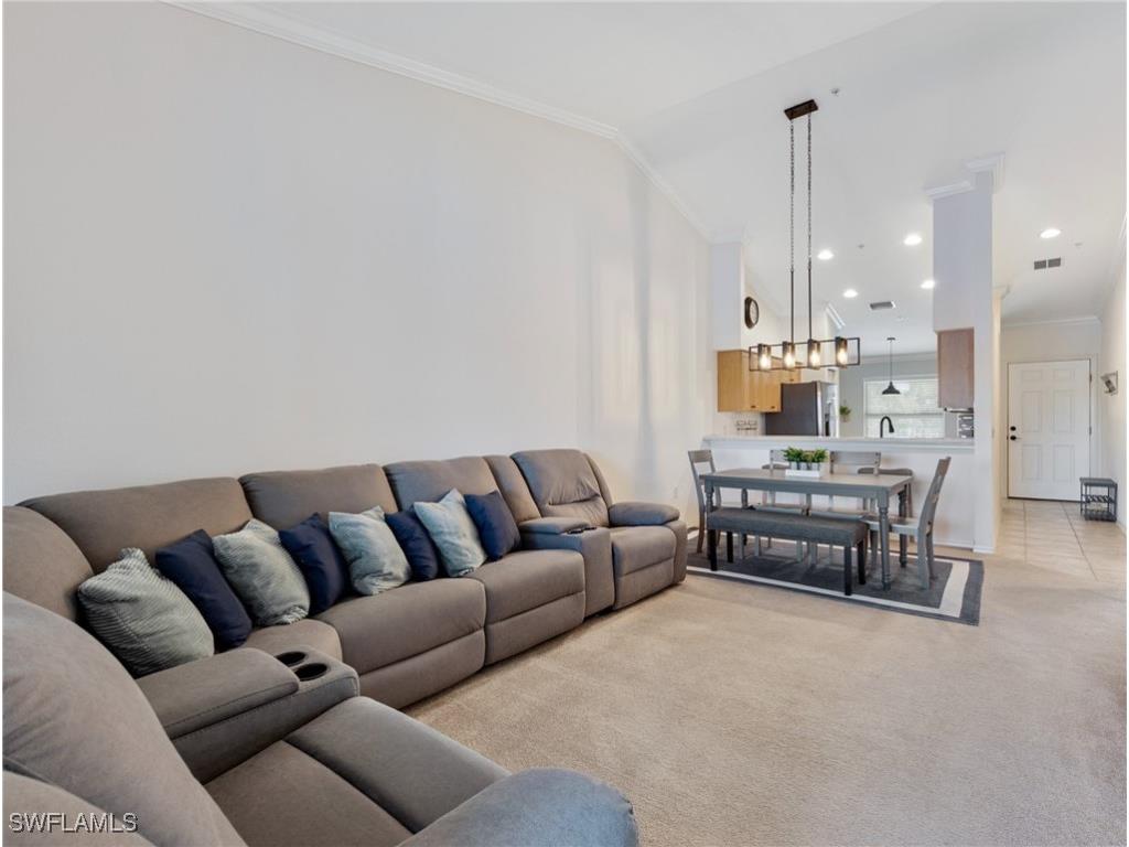 19980 Barletta Lane #923 Estero FL 33928 225075724 image10