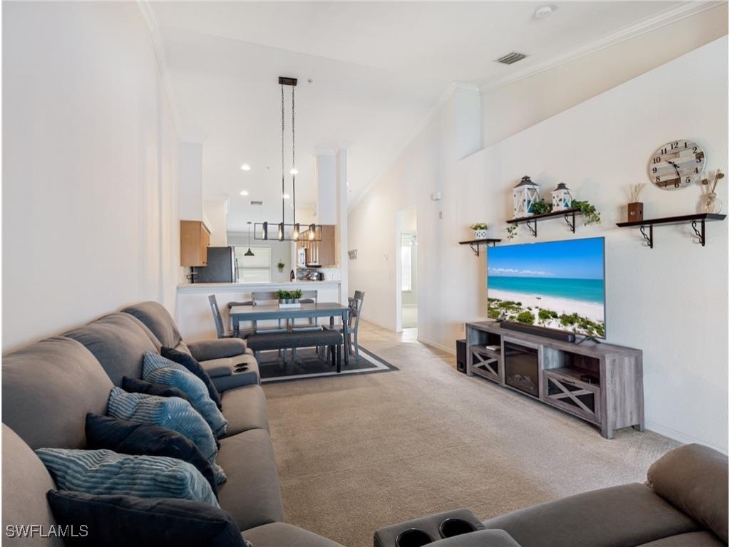 19980 Barletta Lane #923 Estero FL 33928 225075724 image11