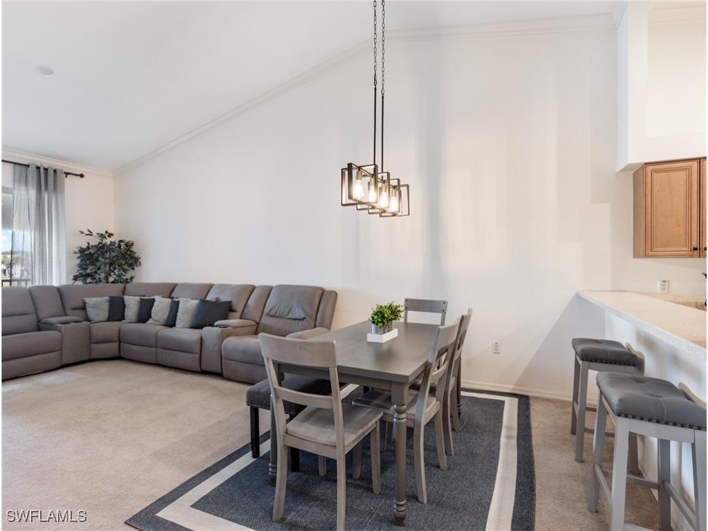 19980 Barletta Lane #923 Estero FL 33928 225075724 image4