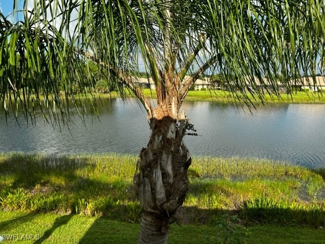 19990 Barletta Lane #821 Estero FL 33928 225074133 image14