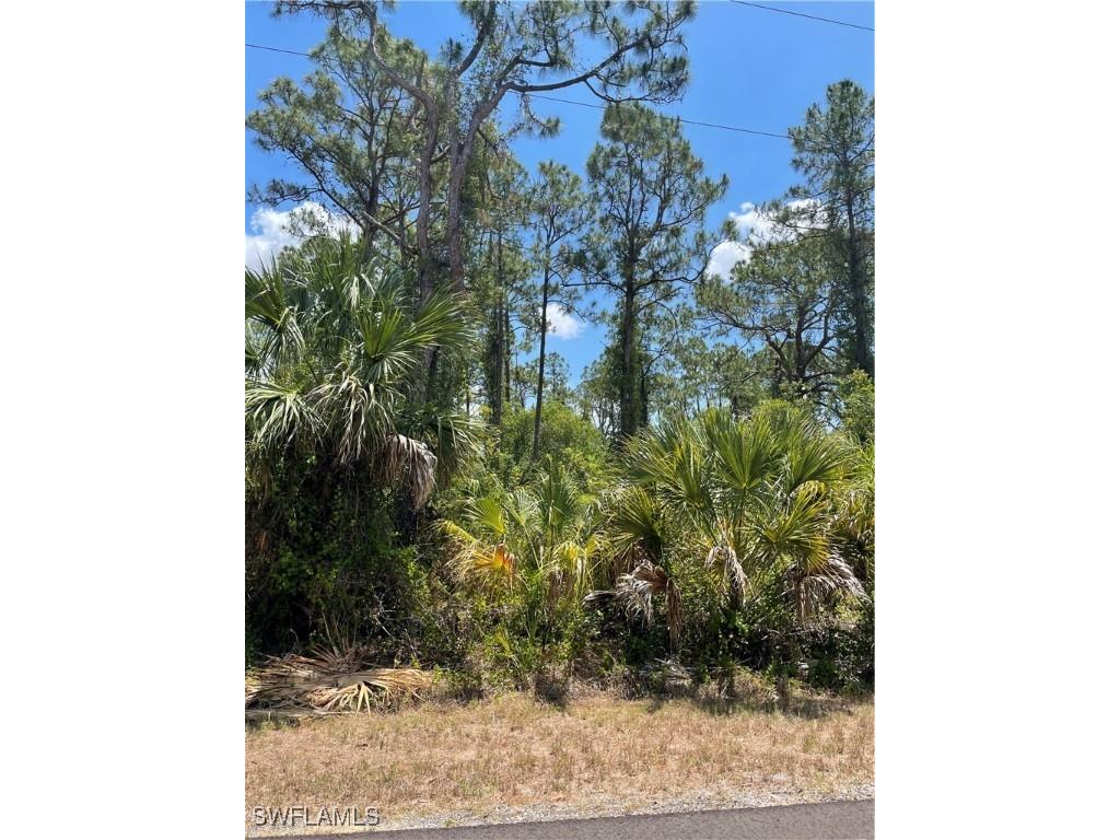 20 Fitch Avenue Lehigh Acres FL 33936 225043674 image1