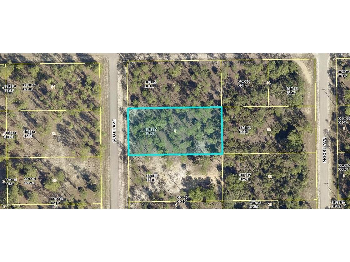 20 Scott Avenue Lehigh Acres FL 33936 222062683 image1