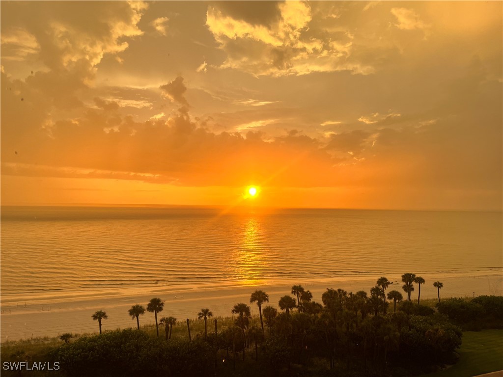 20 Seagate Drive #803 Naples FL 34103 225065300 image38