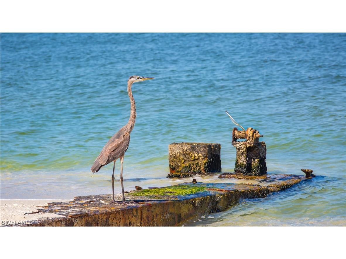 200 Mourning Dove Drive Upper Captiva FL 33924 224021960 image25