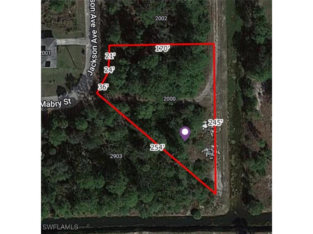 2000 Jackson Avenue Alva FL 33920 224077775 image1