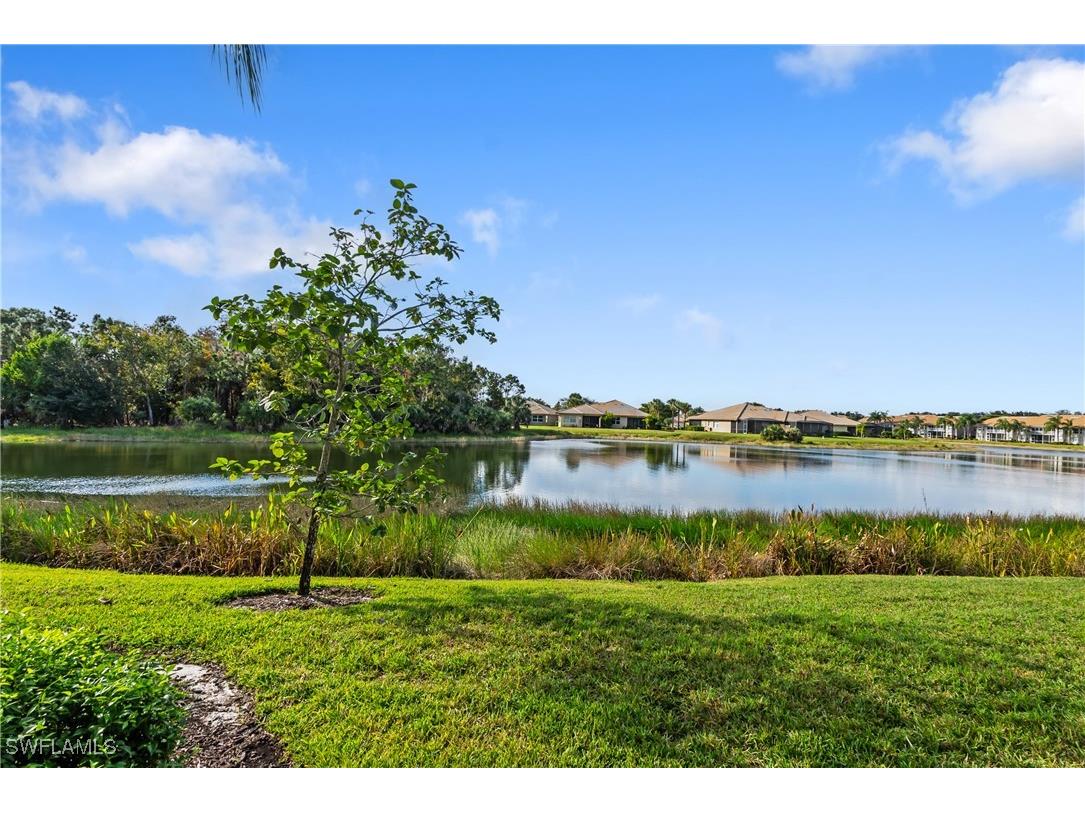 20000 Barletta Lane #711 Estero FL 33928 225083704 image30
