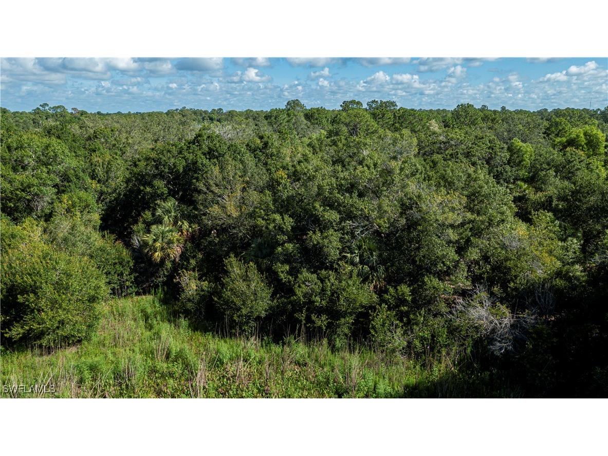 2001 E 5th Street Lehigh Acres FL 33936 225059444 image16