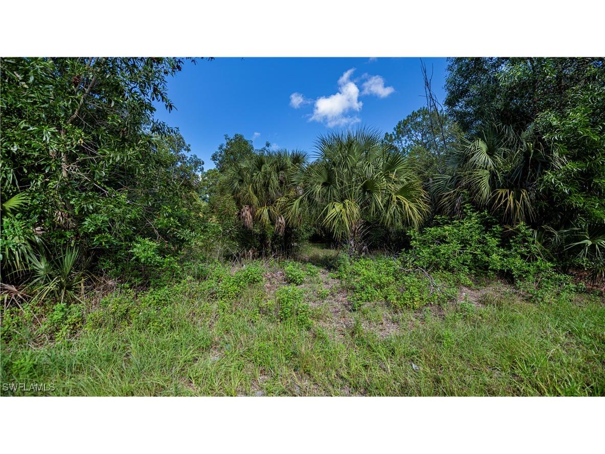 2001 E 5th Street Lehigh Acres FL 33936 225059444 image17