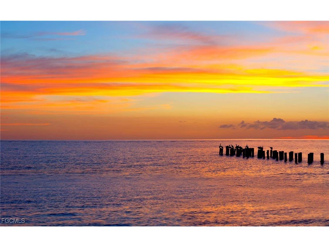 2001 Tarpon Bay Drive N #102 Naples FL 34119 2025023161 image48