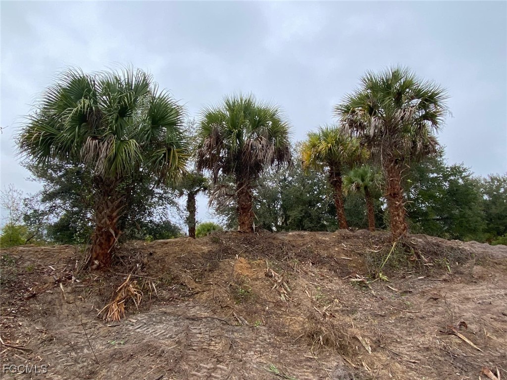 20018 NW 284th Street Okeechobee FL 34972 2025008714 image3