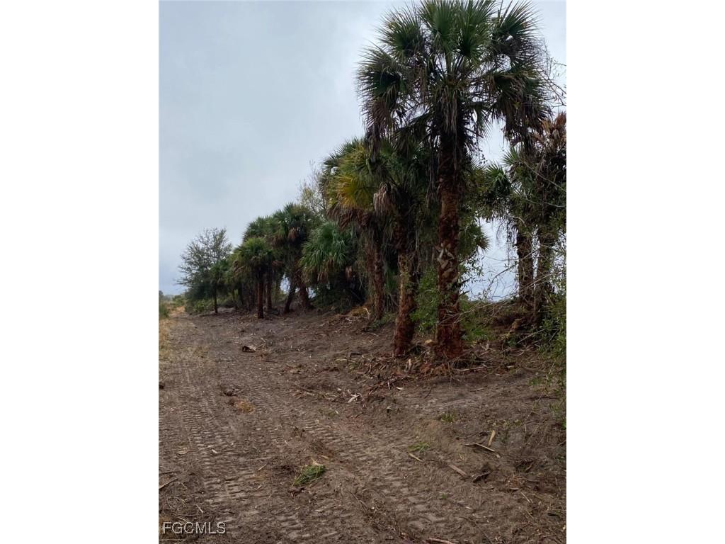 20018 NW 284th Street Okeechobee FL 34972 2025008714 image4