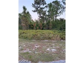 2002 Fitch Avenue Alva FL 33920 2026001256 image2