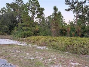2002 Fitch Avenue Alva FL 33920 2026001256 image3
