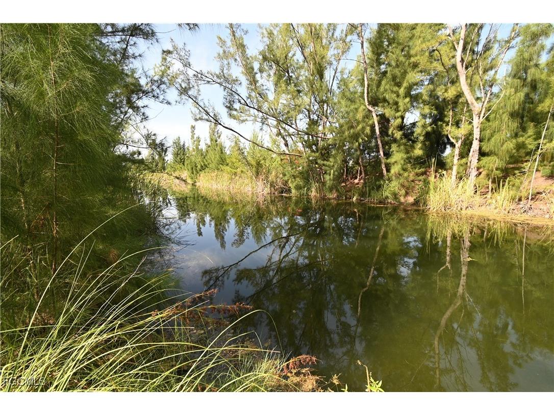 2002 NW 21st Avenue Cape Coral FL 33993 2025004246 image8