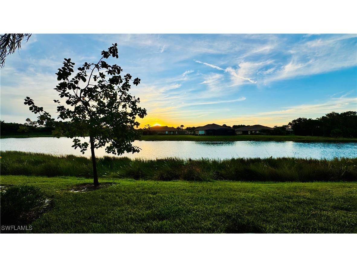 20030 Barletta Lane #413 Estero FL 33928 225079205 image18