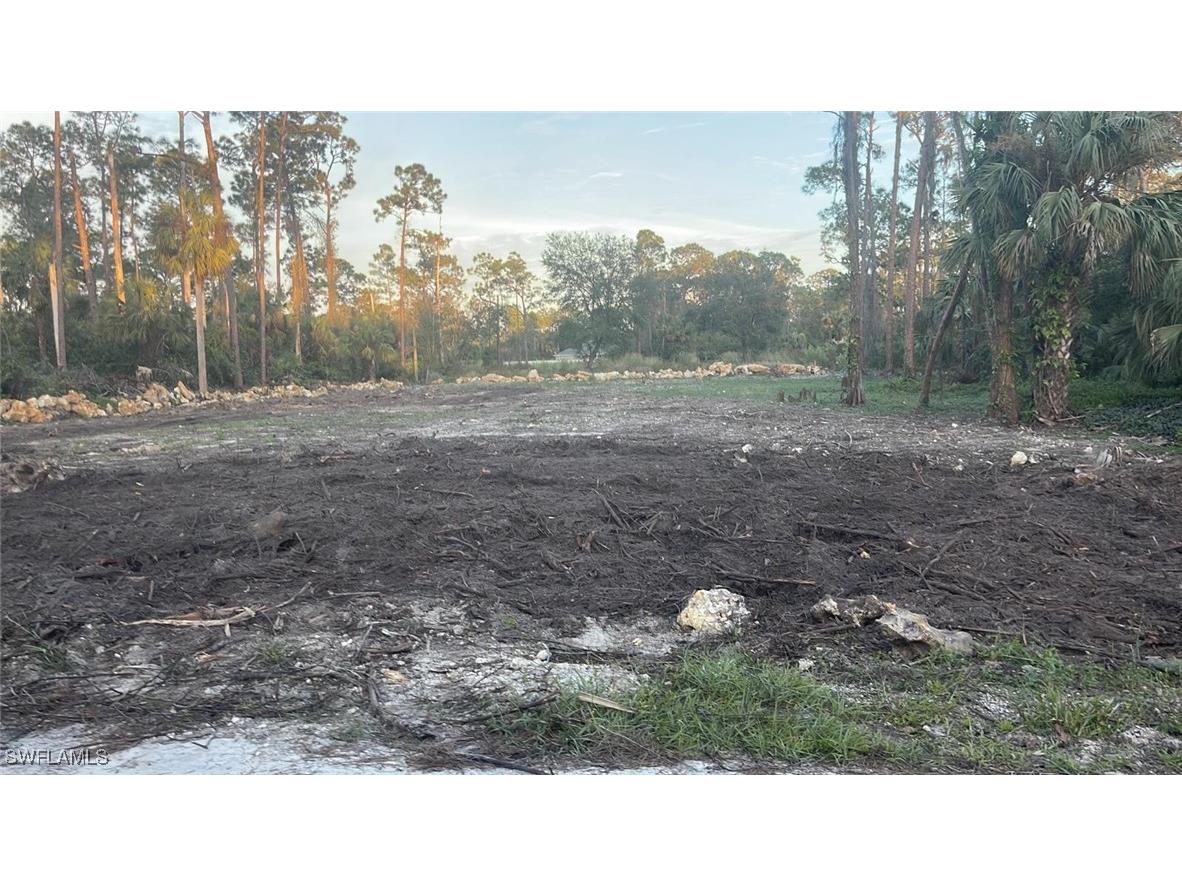 2004 Canton Avenue Alva FL 33920 224088350 image1