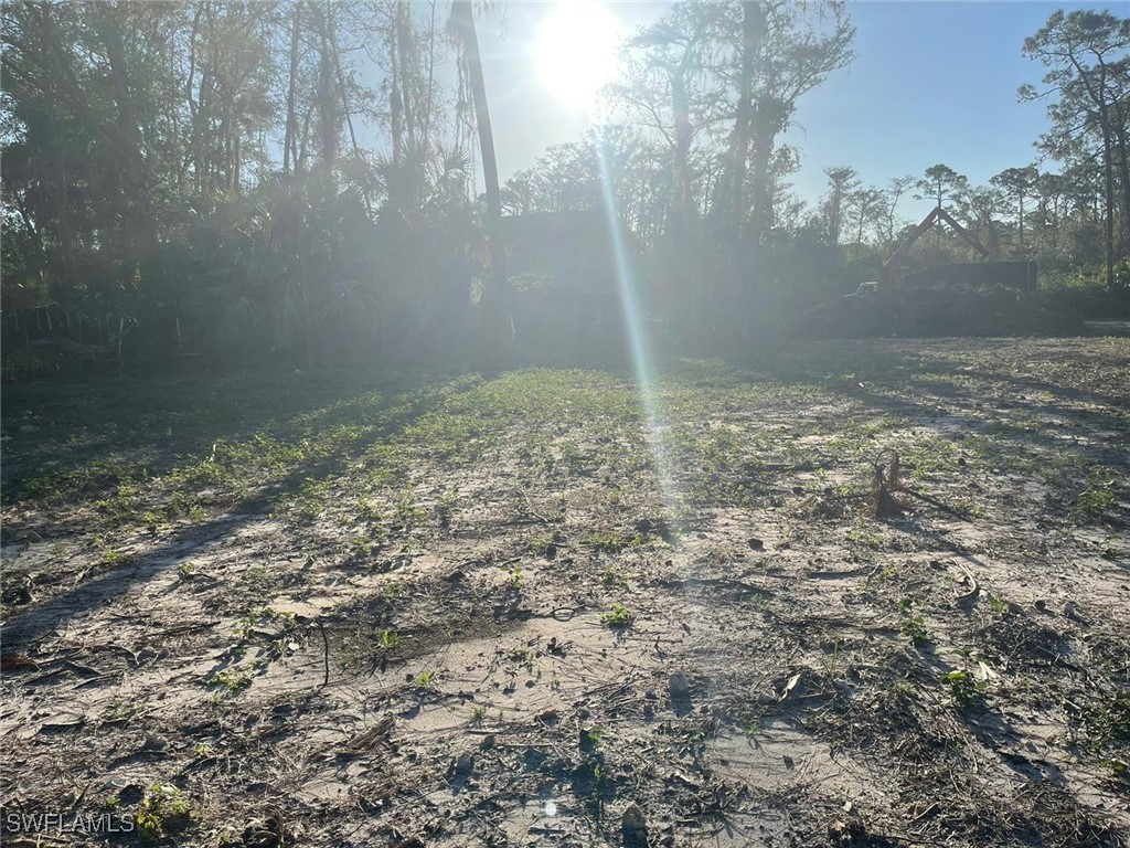 2004 Canton Avenue Alva FL 33920 224088350 image2