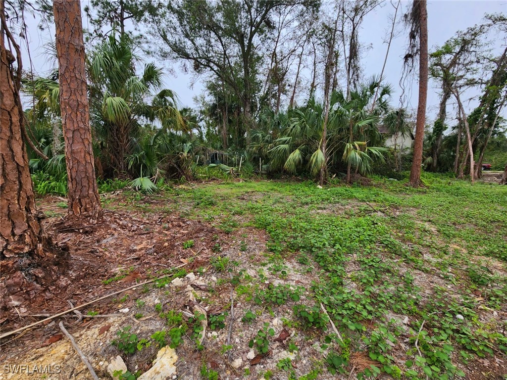 2004 Canton Avenue Alva FL 33920 224088350 image3