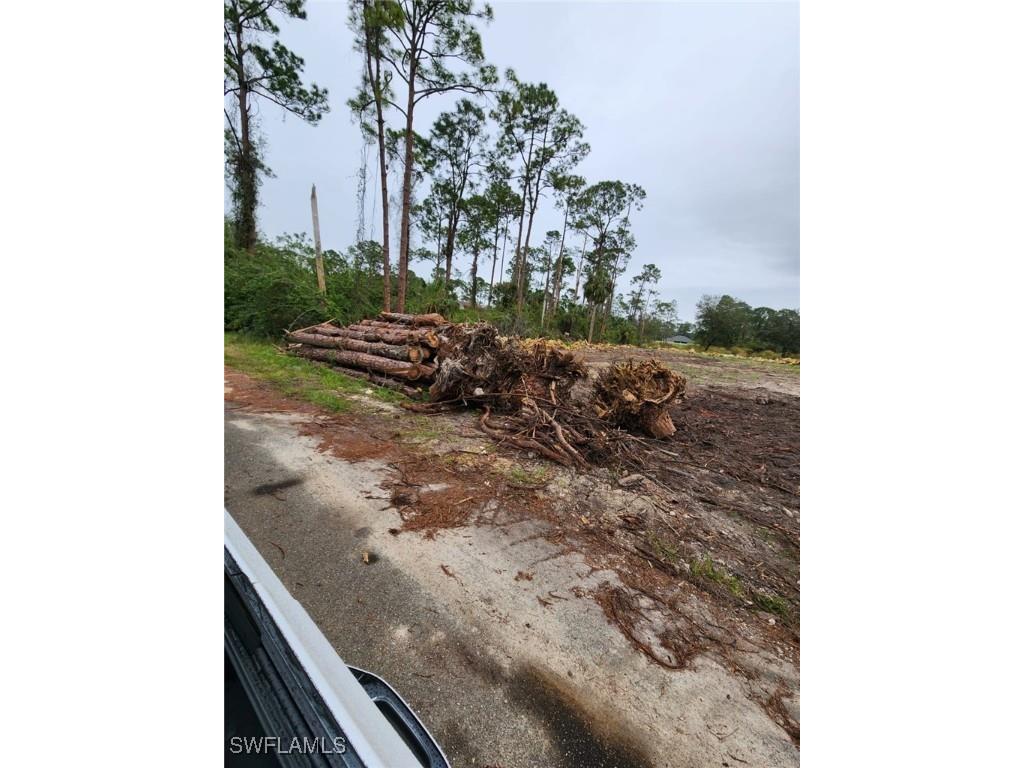 2004 Canton Avenue Alva FL 33920 224088350 image6