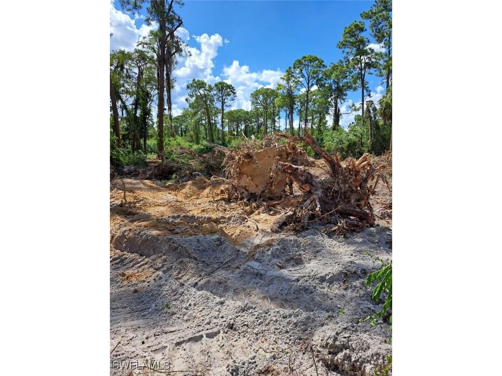 2004 Canton Avenue Alva FL 33920 224088350 image8