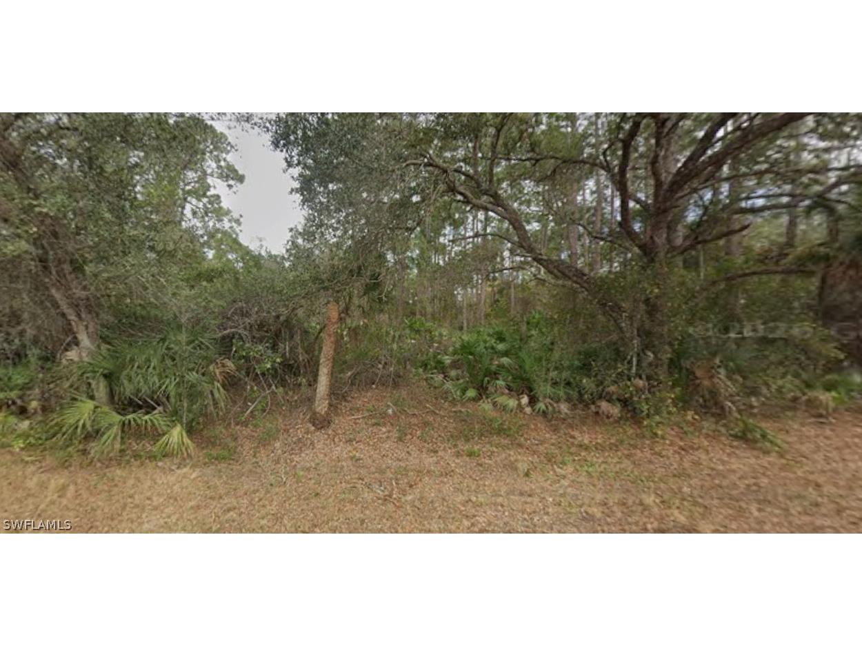 2004 Wells Avenue Alva FL 33920 226011442 image3