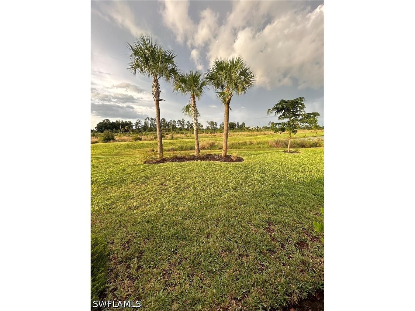 20047 Napa Loop Estero FL 33928 226023031 image29