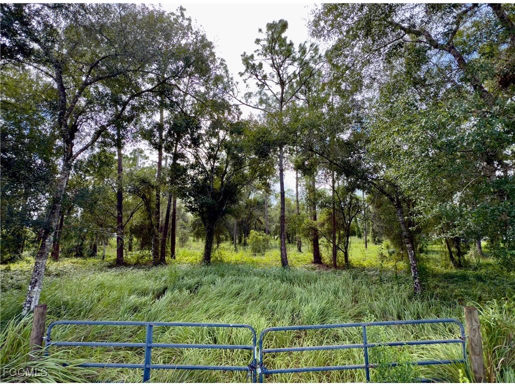  Labelle FL 33935 2025014863 image4