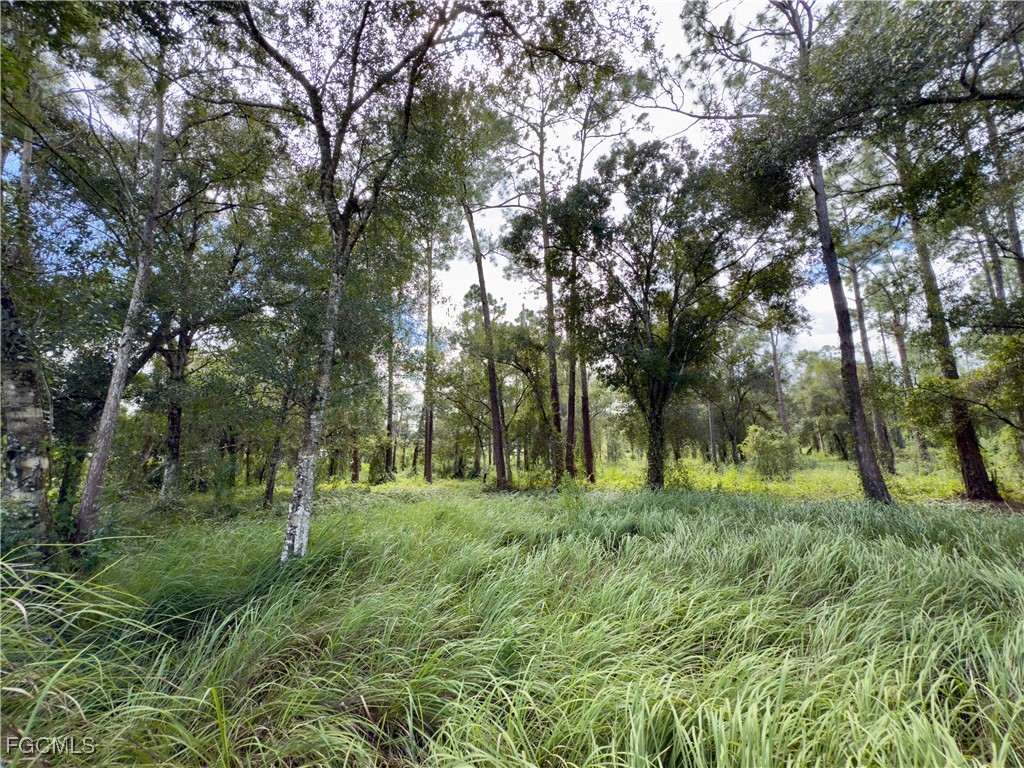  Labelle FL 33935 2025014863 image5