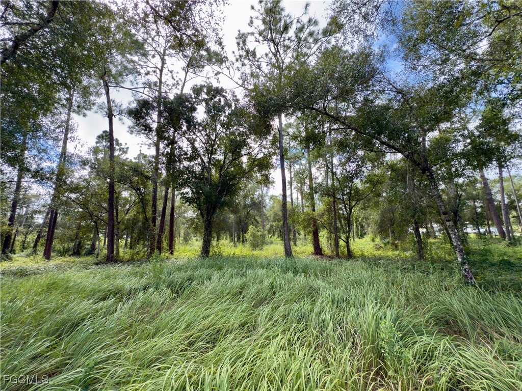  Labelle FL 33935 2025014863 image6