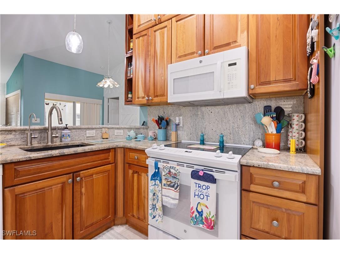 20052 Serene Meadow Lane Estero FL 33928 225069101 image17