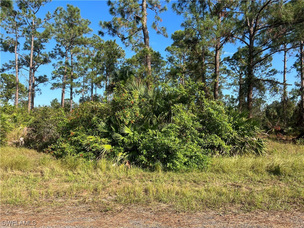 2006 Mcarthur Avenue Alva FL 33920 223064556 image1