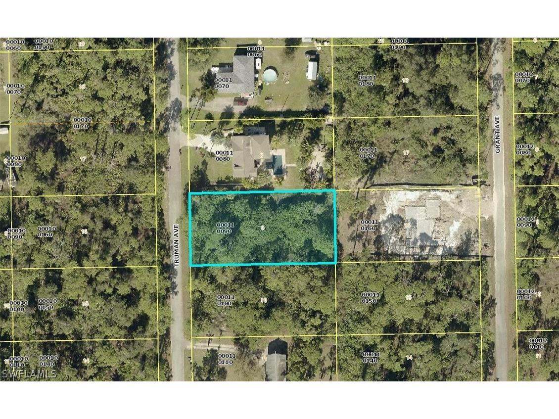 2006 Truman Avenue Alva FL 33920 222038063 image1