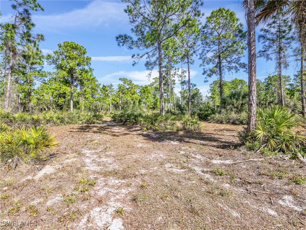 2007 22nd Avenue NE Naples FL 34120 226003721 image43