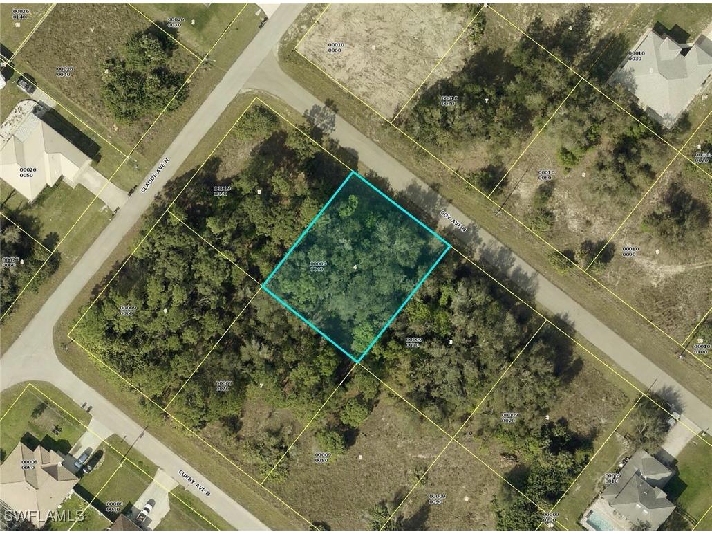 2007 Coy Avenue N Lehigh Acres FL 33971 224065524 image1