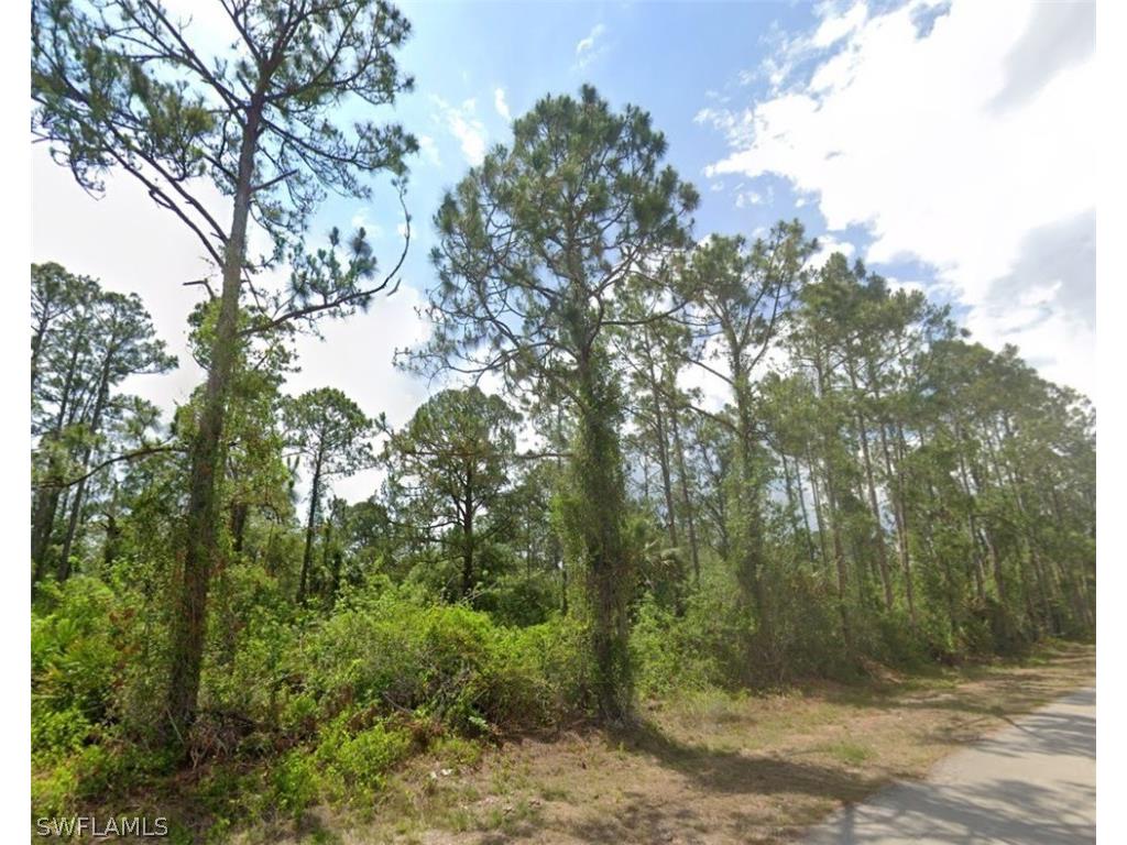2007 Monroe Avenue Alva FL 33920 226008438 image1