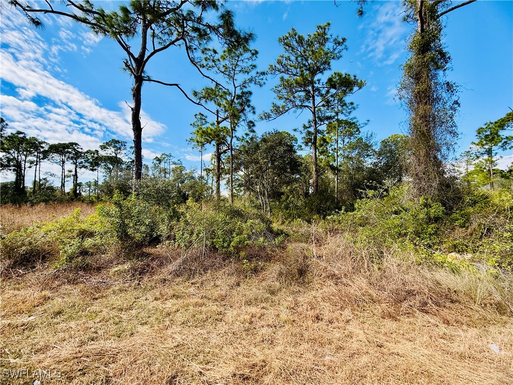 2007 Truman Avenue Alva FL 33920 226004557 image1